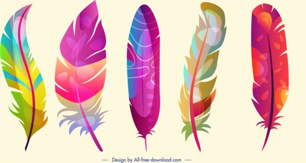 feathers background colorful vertical fluffy decor