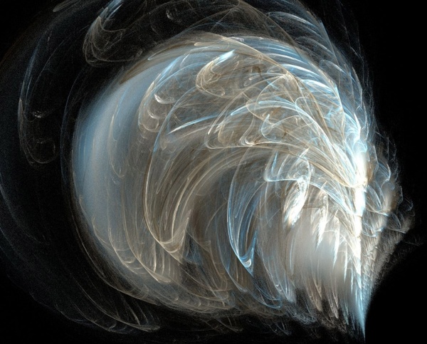 feathery fractal 