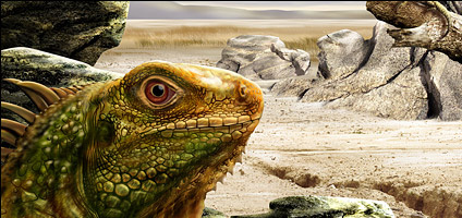 Featured psd lizards layered material