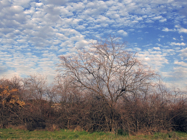 feliz martes nubes 