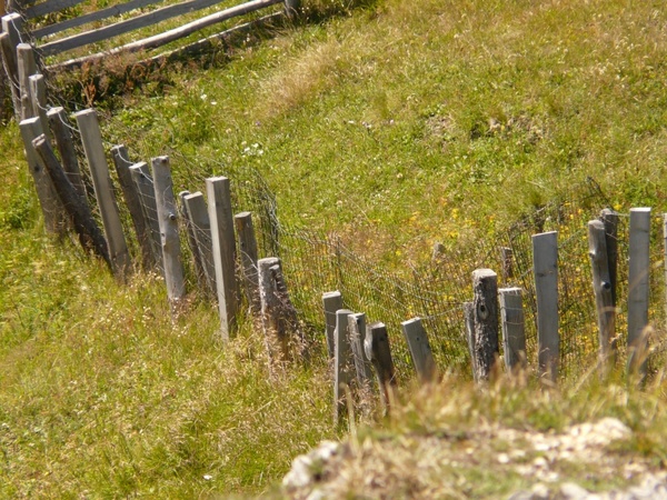 fence wood meadow