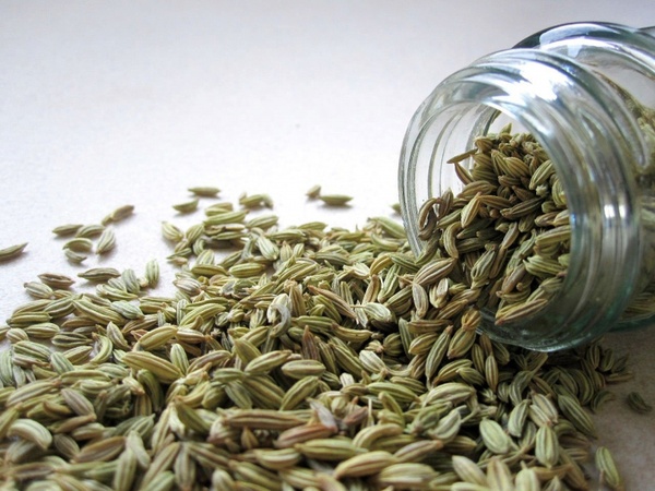 fennel seeds spice