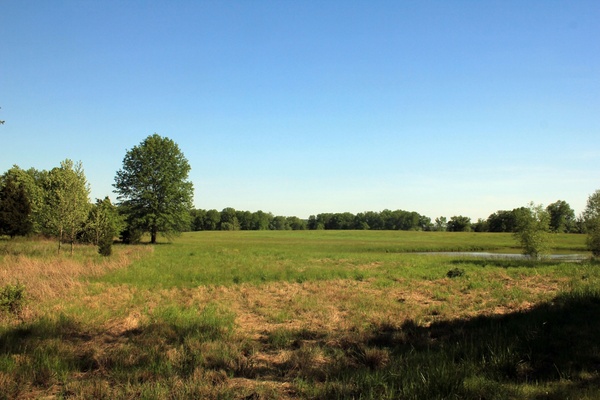 fields at route 66 state park 
