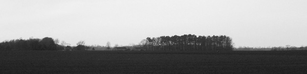 fields in delaware 