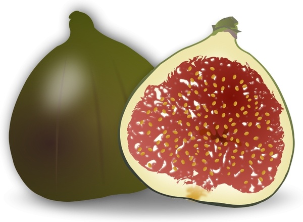 Fig Fruit