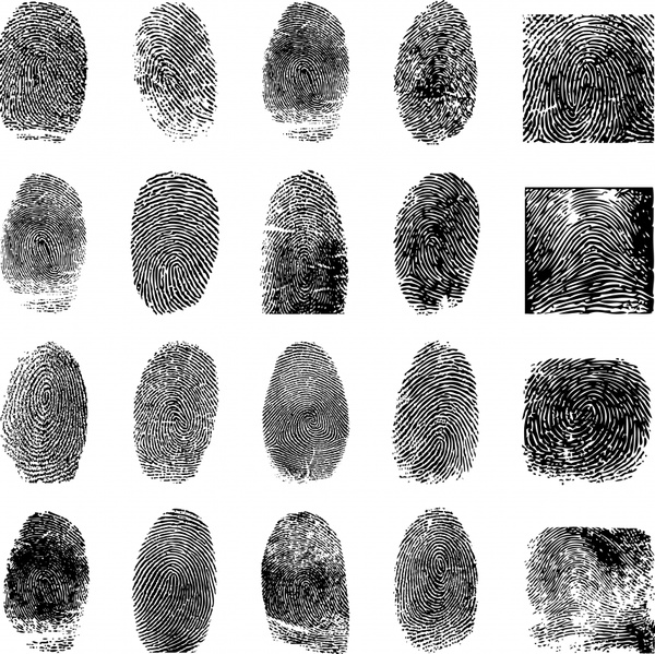 fingerprint templates collection black white flat realistic sketch