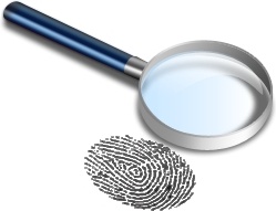 Fingerprint Search