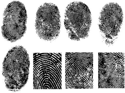 fingerprint vector 1