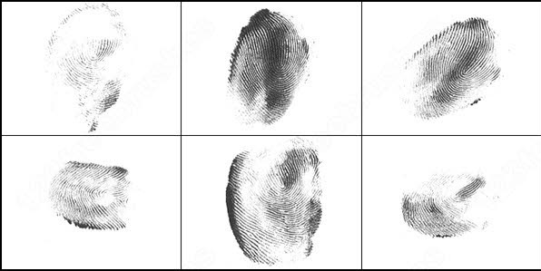 fingerprints brush