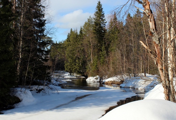 finland landscape winter