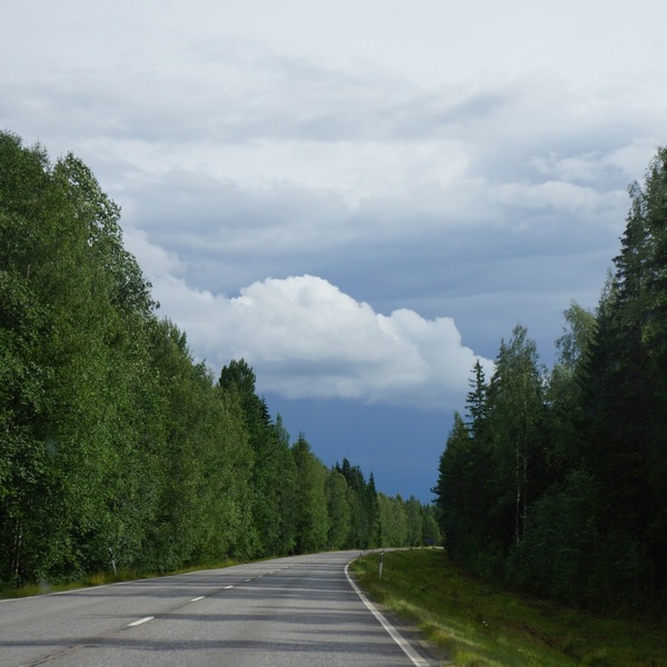 finland summer the road