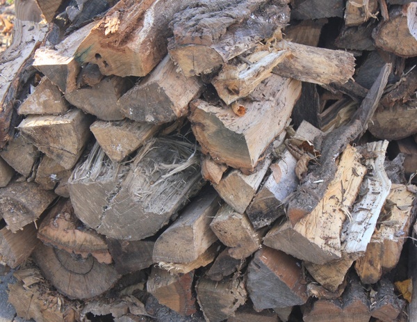 fire wood 