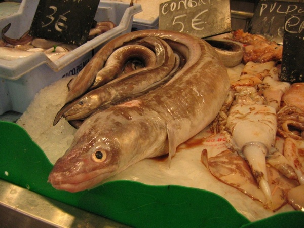 fish fish market market