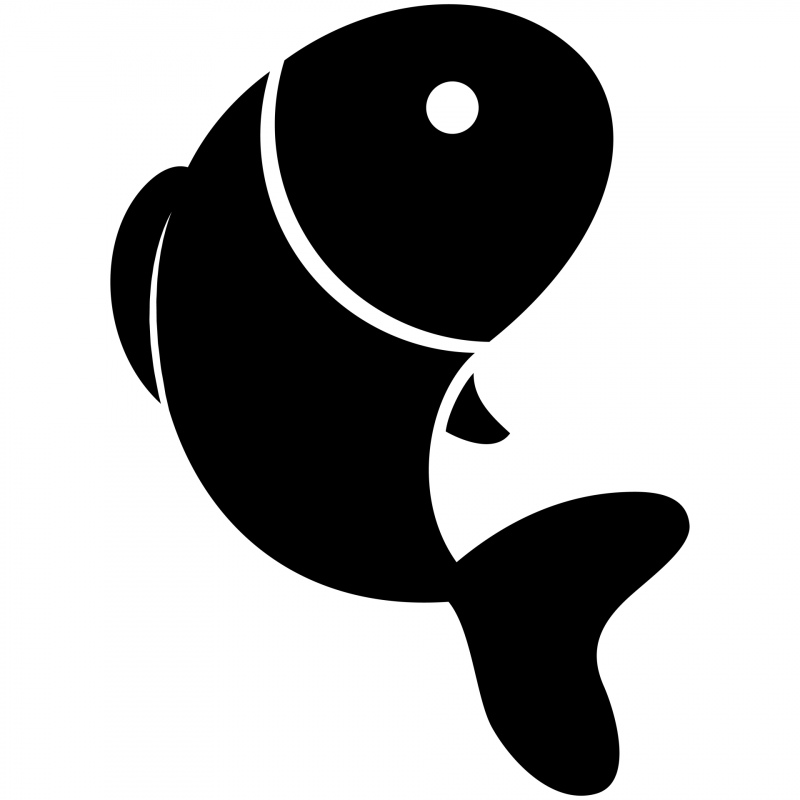fish logo flat silhouette dynamic icon