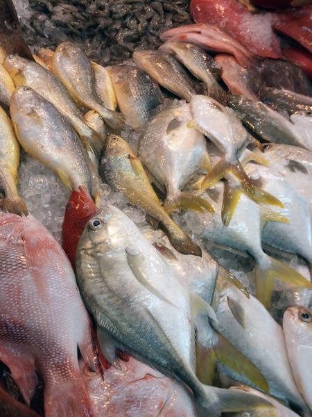 fish market in singapore