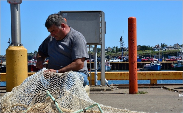 fisher fisherman fishing net