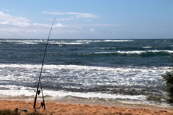 fishing pole on beach at ocean