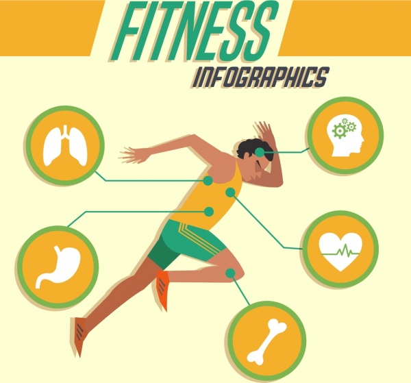fitness infographics athlete icon organs silhouette decoration
