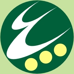 Flag Of Itoigawa Niigata clip art 