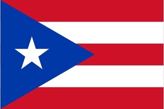 Flag Of Puerto Rico clip art 