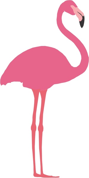 flaminggo vector 