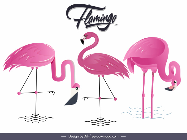 flamingo species background colored flat sketch