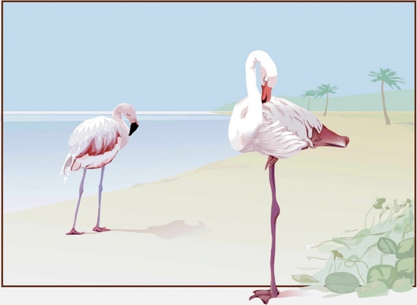 Flamingo Vector