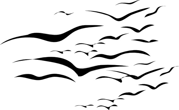 Flock Of Birds clip art Free vector in Open office drawing svg ( .svg )  vector illustration graphic art design format format for free download  59.03KB