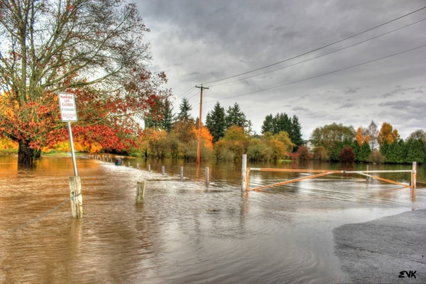 flood flooding nature