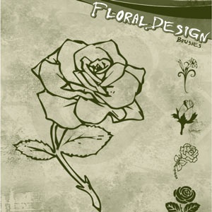 Floral Design Brushes 