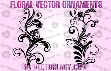floral vector ornaments 