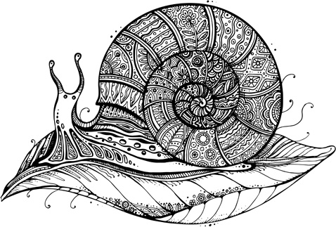 floral with snail vector