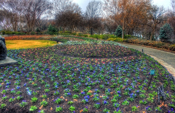 flower bed in dallas texas