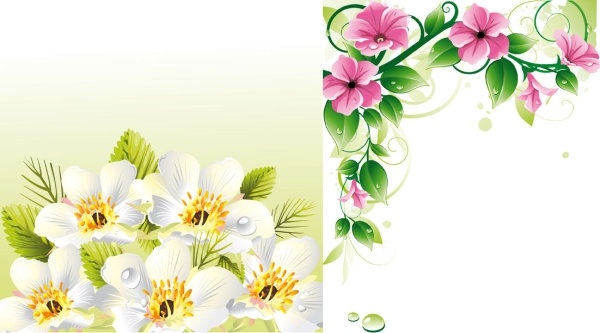 flower border u0026amp background vector