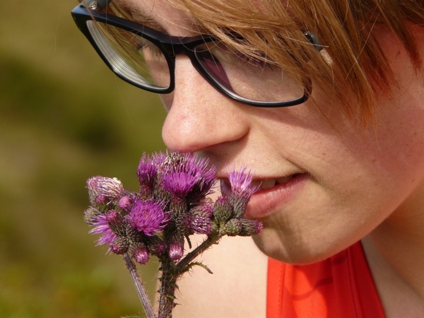 flower fragrant smell