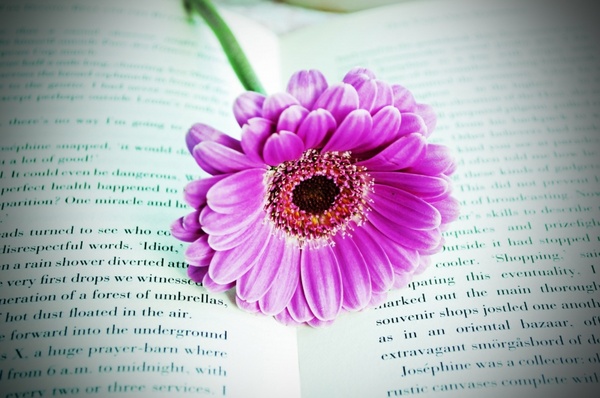 flower on the book