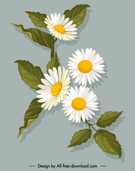 flower painting colored retro design blooming sketch