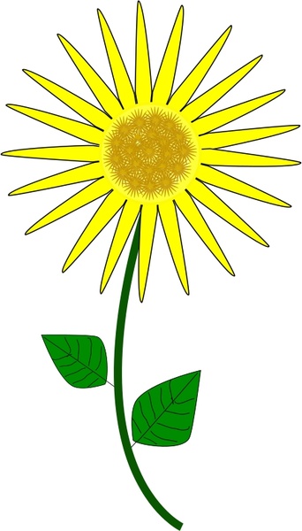 Sunflower outline drawing free vector download (97,621 ...