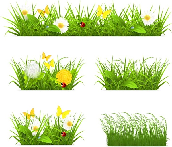 flower with grass border vector