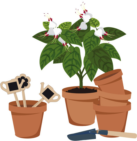 Flower pots drawing free vector download (102,541 Free vector) for