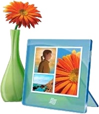 Flowerpot and picture frame