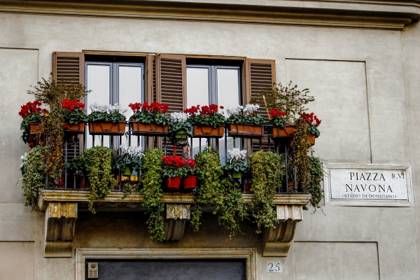 balcony decorated with multicolored flowers