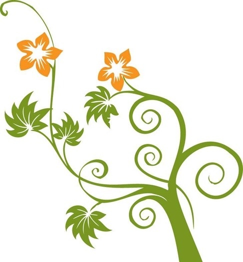 Flowers And Swirls Vector Graphic Free Vector In Adobe Illustrator