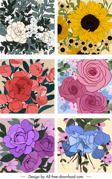 flowers backgrounds colored classical closeup handdrawn sketch