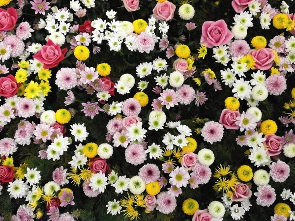 flowers texture flower carpet