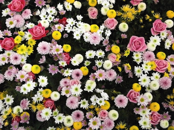 flowers texture flower carpet