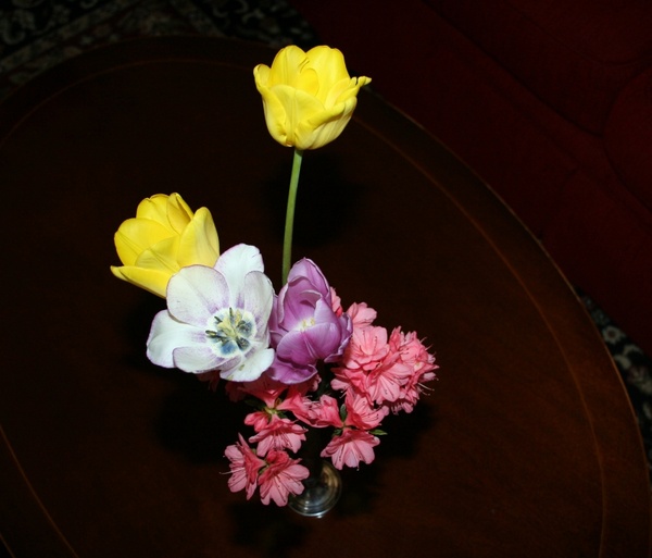 flowers vase spring