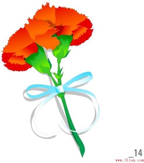 flowers vector