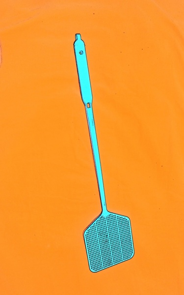 fly swatter