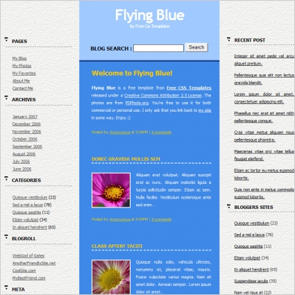 flying blue 